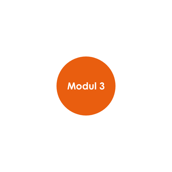 Energiewirtschaftsgesetz Modul 3 Zeitvariables Netzentgelt 